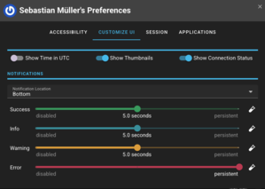Screenshot des Preferences-Tooltips von Rally, der den Reiter Customize UI zeigt