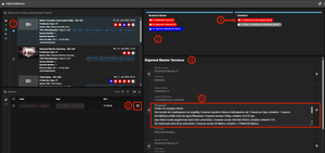 Screenshot aus Rally der die Failed Deliveries Seite zeigt: Ein Asst Picker mit Assets, rechts obene der Status, wo Rejected bei min. einer Master Version zeigt und unten der Text, warum es Rejected wurde mit einem QC Report.