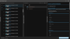 Screenshot einer Rally Gateway-Seite mit Panel Layout
